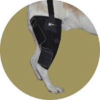 Бандаж на правое колено для собаки Вет М. Размер L(2)