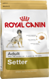 Royal Canin корм для Сеттеров.