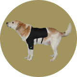 Бандаж плечевого сустава для собаки