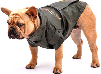 Куртку для французского бульдога GREEN WATERPROOF KHAKI купить    