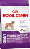 ROYAL CANIN PUPPY GIANT ACTIVE – Роял Канин корм сухой для щенков гигантских пород с высокими энергетическими потребностями.