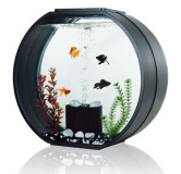 Дизайнерский аквариум для рыб Deco 10 л