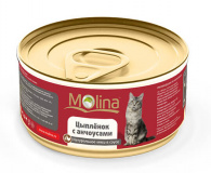 Консервы в соусе для кошек Molina «Цыпленок с анчоусами»