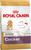 Royal Canin корм щенков породы кокер спаниель.