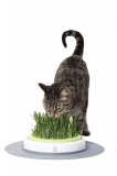 Сад с травой для кошек Catit Design Senses