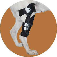 Ортез коленного сустава для собак. Размер S